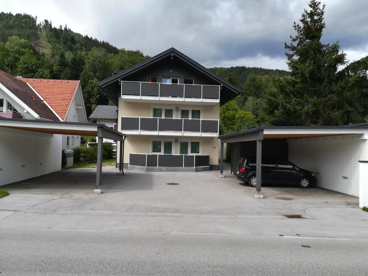 Die Schladmingerin Eksteriør bilde